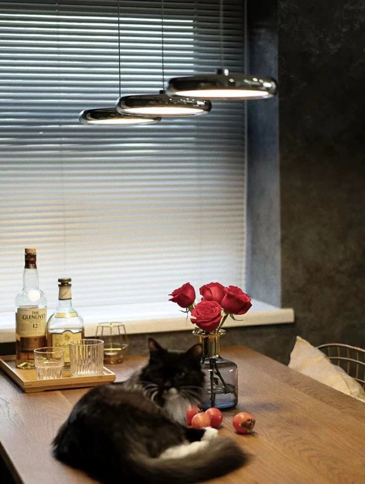 Long Plate Pendant Light — product view 5