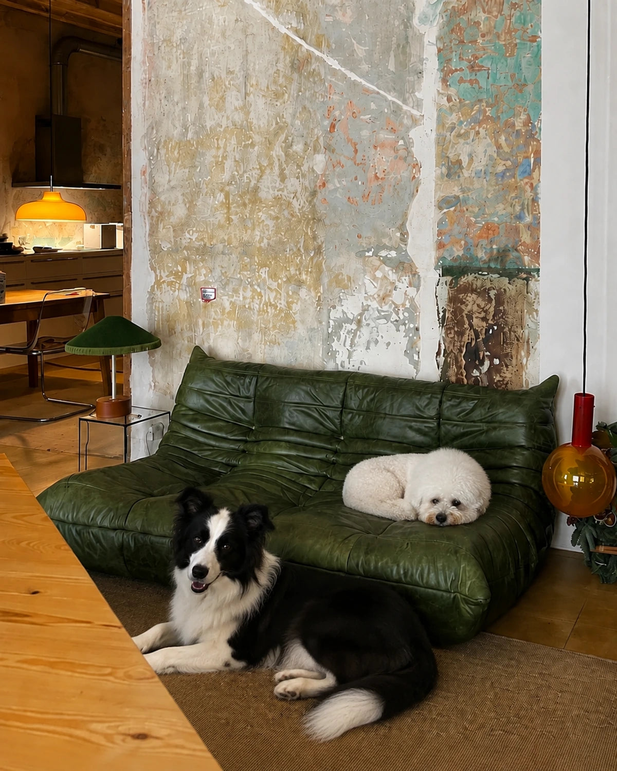 Interior styling scene: Tuantuan curled on an olive-green low-profile sofa, with Paopao relaxing on the rug
